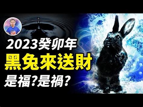 2023水兔寶寶|【2023水兔寶寶】2023年福氣滿滿水兔報到！必收藏的水兔寶寶。